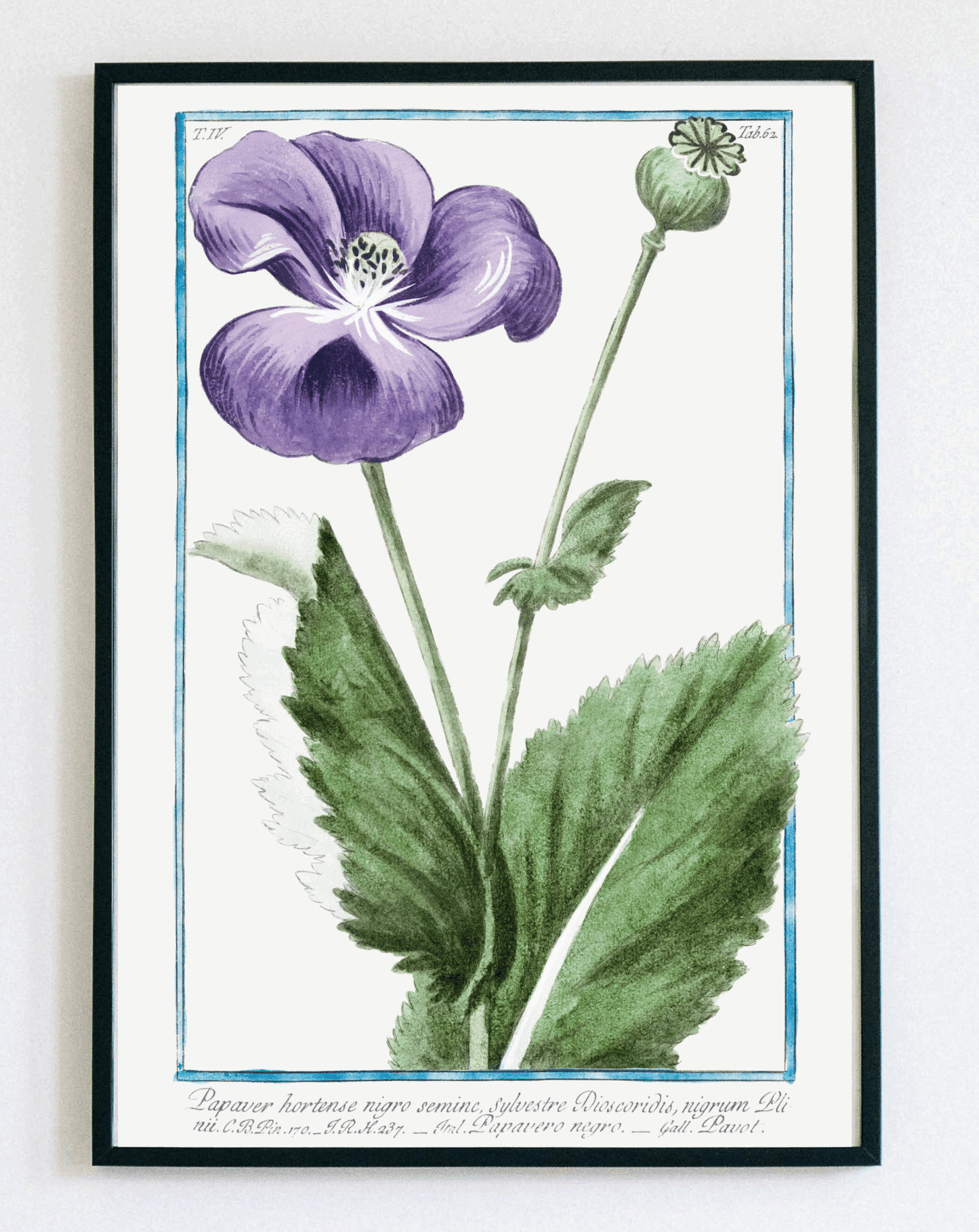 Obraz irysy i maki w ramce plakat botaniczny vintage dekoracja ścienna kwiaty do salonu i sypialni – Demarro