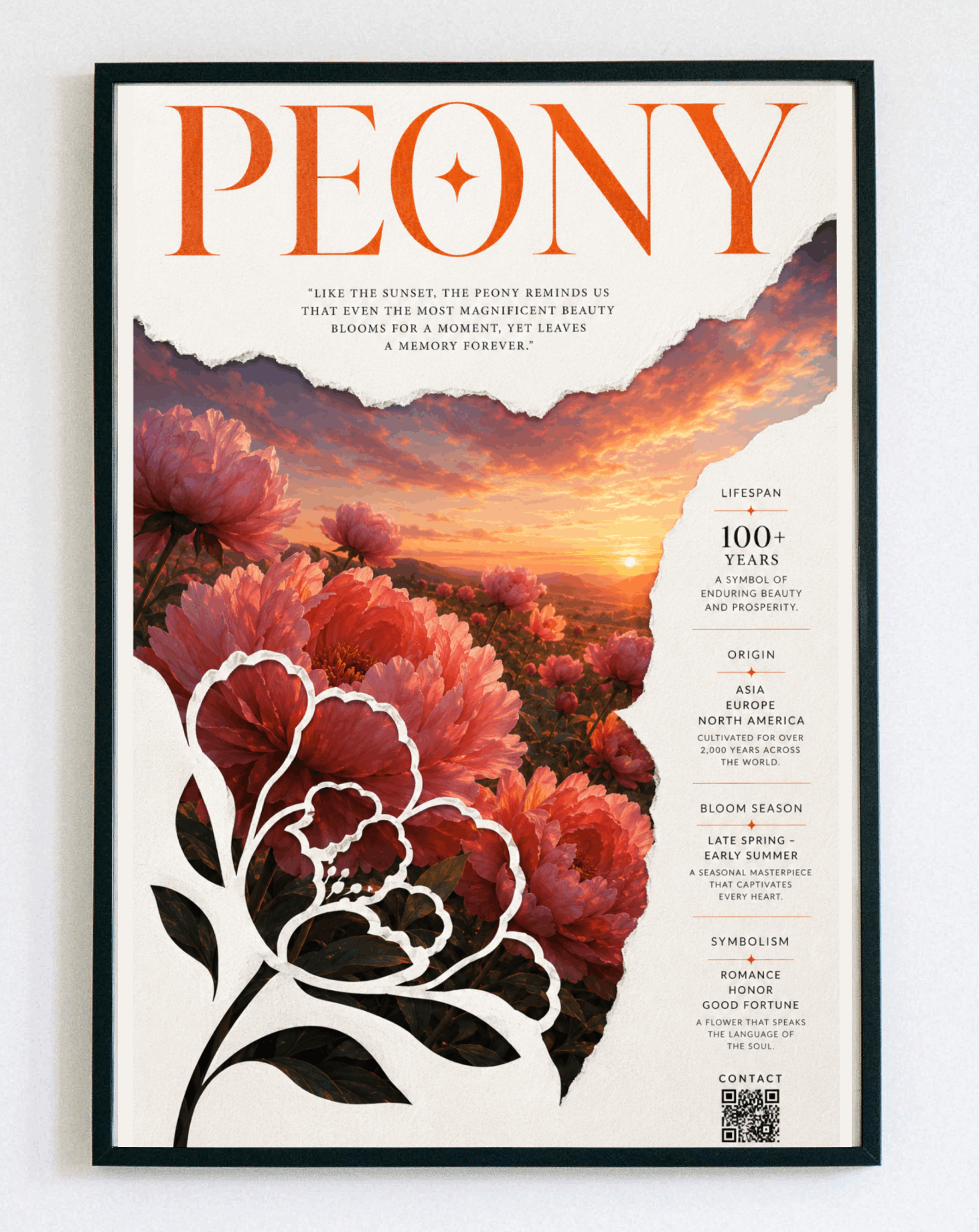 Obraz w ramce Peony Infographic – botaniczny plakat z piwoniami w stylu vintage do salonu, sypialni i gabinetu – Demarro