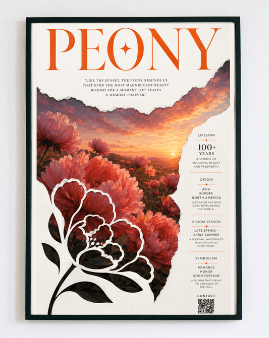 Obraz w ramce Peony Infographic – botaniczny plakat z piwoniami w stylu vintage do salonu, sypialni i gabinetu – Demarro